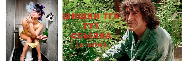 PSILOCYBIN Козловка