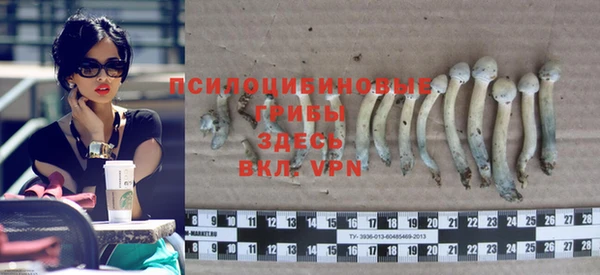 спайс Козельск