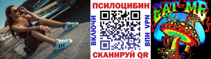 Галлюциногенные грибы Psilocybine cubensis  Купить закладки  Кисловодск 